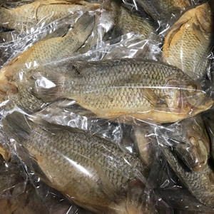 Salted Tilapia